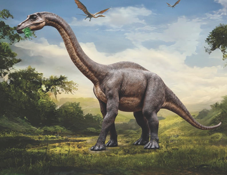 Dino Park